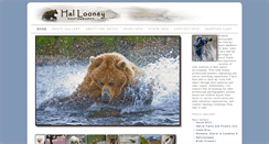 Desktop Screenshot of hallooney.com