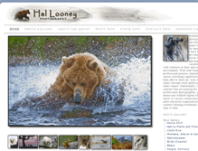 Tablet Screenshot of hallooney.com
